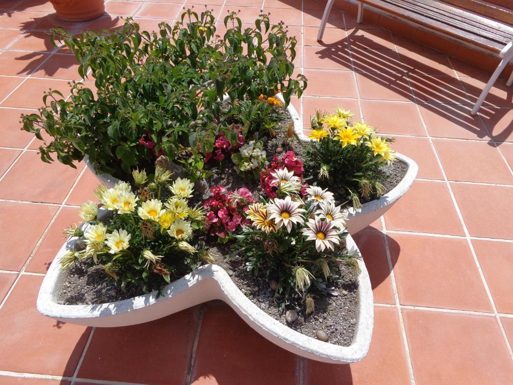Villa Flavia - Adults Only Ponza Zewnętrze zdjęcie
